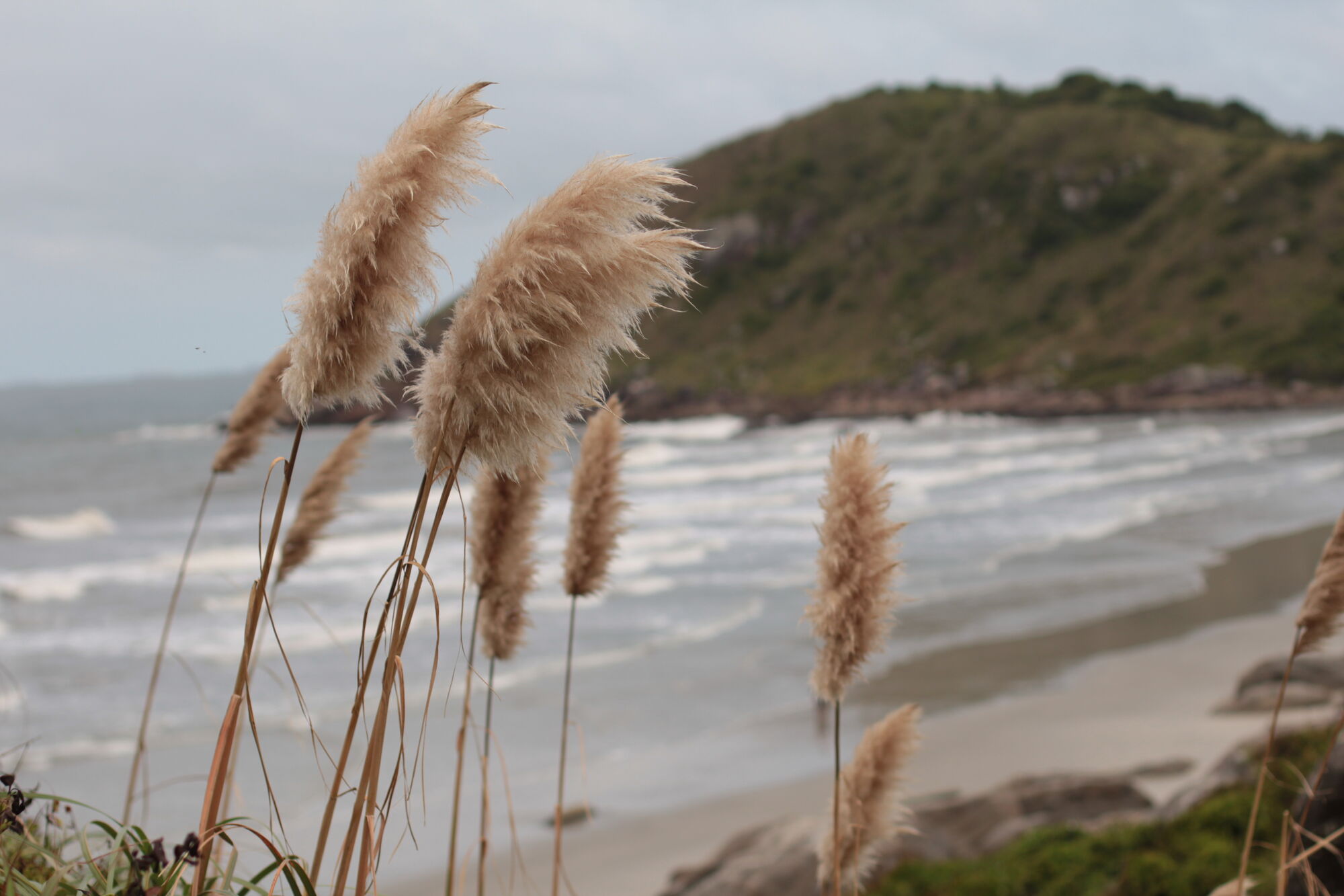 Naturaleza preservada
